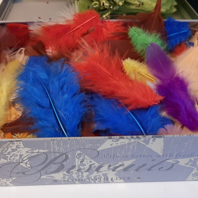 Caja de las plumas