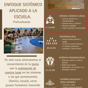 1 - ENFOQUE SISTÉMICO CLÁSICO