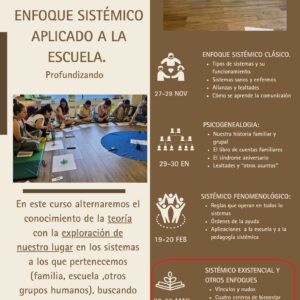 4 - SISTÉMICO EXISTENCIAL Y OTROS ENFOQUES